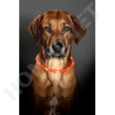 Visio Light - LED lighted dog collars